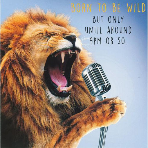Picture of BORN TO BE WILD BIRTHDAY CARD LION